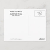 Young Otter-Monterey Bay, California Briefkaart (Achterkant)