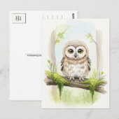 Young Owl Baby Wild Animals Briefkaart (Voorkant / Achterkant)