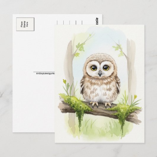Young Owl Baby Wild Animals Briefkaart (Voorkant / Achterkant)