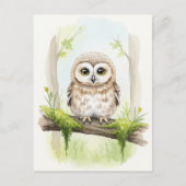 Young Owl Baby Wild Animals Briefkaart (Voorkant)