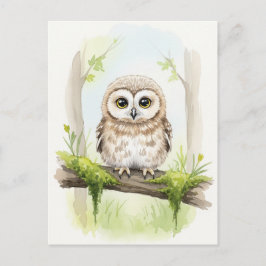 Young Owl Baby Wild Animals Briefkaart