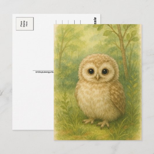 Young Owl Baby Wild Animals Briefkaart (Voorkant / Achterkant)