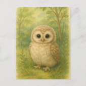 Young Owl Baby Wild Animals Briefkaart (Voorkant)