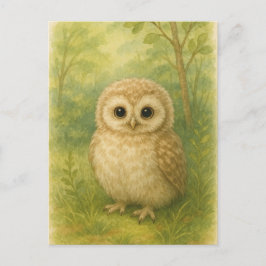 Young Owl Baby Wild Animals Briefkaart