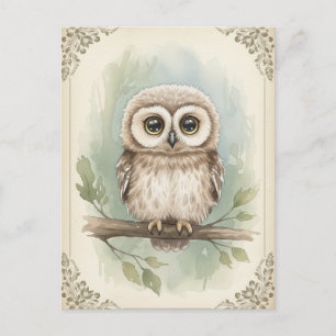 Young Owl Baby Wild Animals Briefkaart