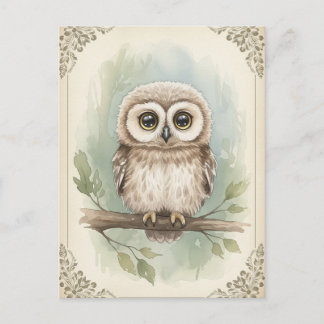 Young Owl Baby Wild Animals Briefkaart