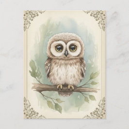 Young Owl Baby Wild Animals Briefkaart