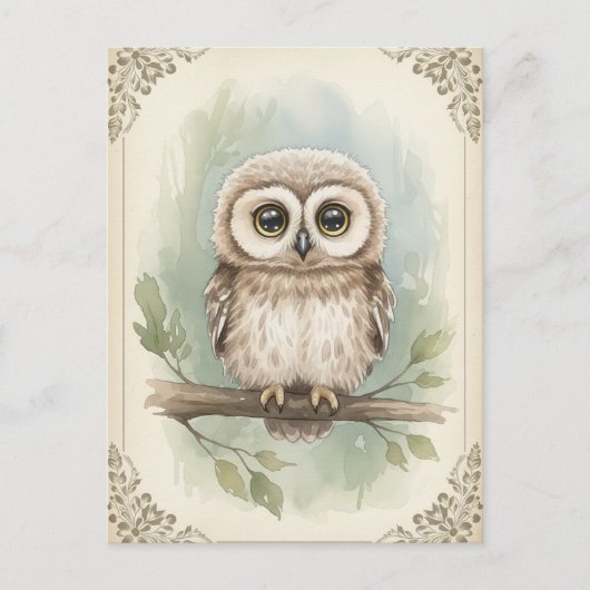 Young Owl Baby Wild Animals Briefkaart (Voorkant)