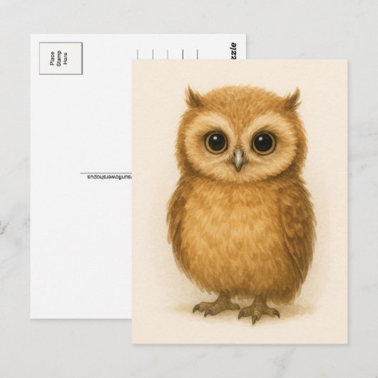 Young Owl Baby Wild Animals Briefkaart (Voorkant / Achterkant)
