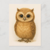 Young Owl Baby Wild Animals Briefkaart (Voorkant)