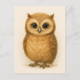 Young Owl Baby Wild Animals Briefkaart