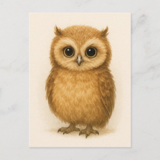 Young Owl Baby Wild Animals Briefkaart (Voorkant)