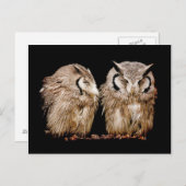 Young Owlets Briefkaart (Voorkant / Achterkant)
