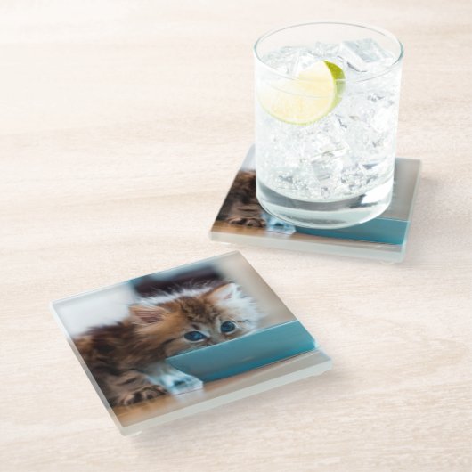 Young Persian Kitten Glazen Onderzetter (Schuin)