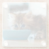 Young Persian Kitten Glazen Onderzetter (Achterkant)