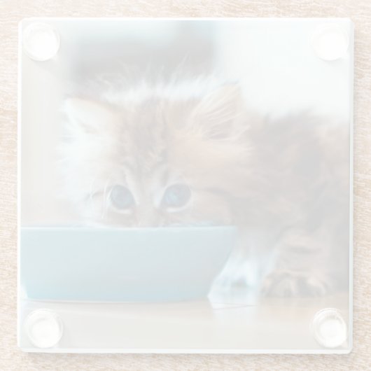 Young Persian Kitten Glazen Onderzetter (Achterkant)