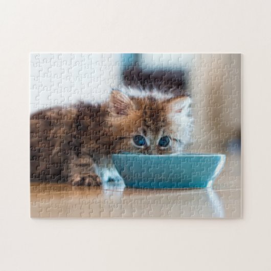 Young Persian Kitten Legpuzzel (Horizontaal)