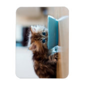 Young Persian Kitten Magneet (Verticaal)