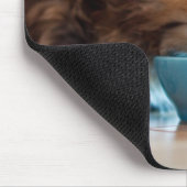 Young Persian Kitten Muismat (Hoek)