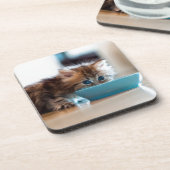 Young Persian Kitten Onderzetter (Linkerzijde)