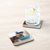 Young Persian Kitten Onderzetter (Rechterzijde)