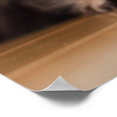 Young Persian Kitten Poster (Hoek)