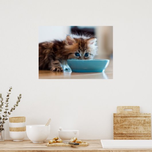 Young Persian Kitten Poster (Keuken)