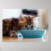 Young Persian Kitten Poster (Voorkant)