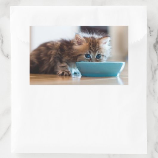 Young Persian Kitten Rechthoekige Sticker (Tas)