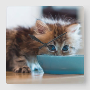 Young Persian Kitten Vierkante Klok