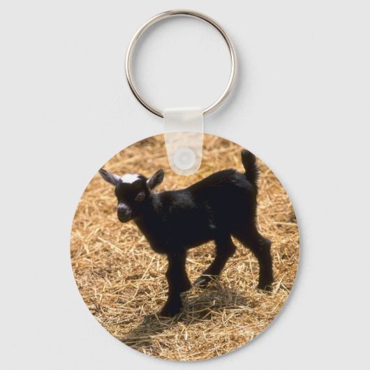 Young Pigmy Goat Sleutelhanger (Voorkant)