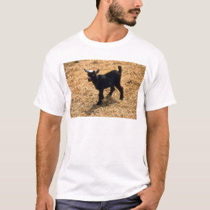 Young Pigmy Goat T-shirt