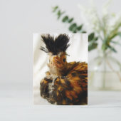 Young Pools Briefkaart (Staand voorkant)