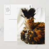 Young Pools Briefkaart (Voorkant / Achterkant)