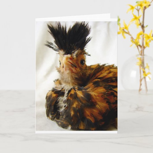 Young Pools Kaart (Gele Bloem)