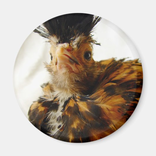 Young Pools Magneet (Voorkant)