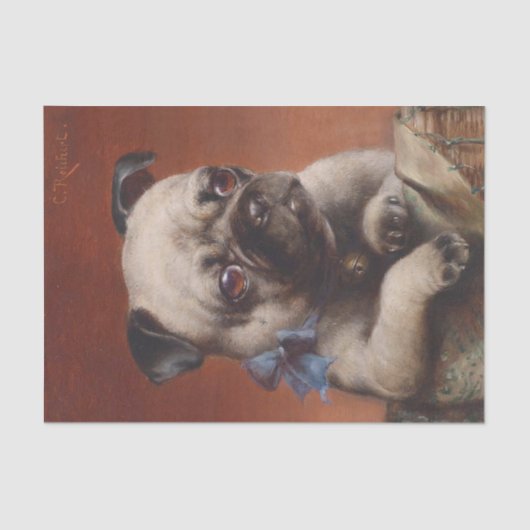 Young Pug van Carl Reichert Tissuepapier (Voorkant)