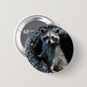 Young Raccoon Ronde Button 5,7 Cm (Voorkant /achterkant)