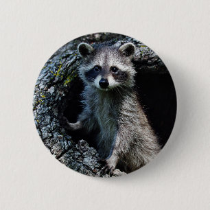 Young Raccoon Ronde Button 5,7 Cm
