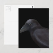 Young Raven Briefkaart (Voorkant / Achterkant)