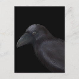 Young Raven Briefkaart