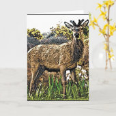 Young Red Deer Wenskaart Kaart (Gele Bloem)