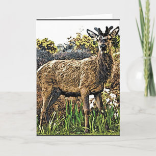 Young Red Deer Wenskaart Kaart
