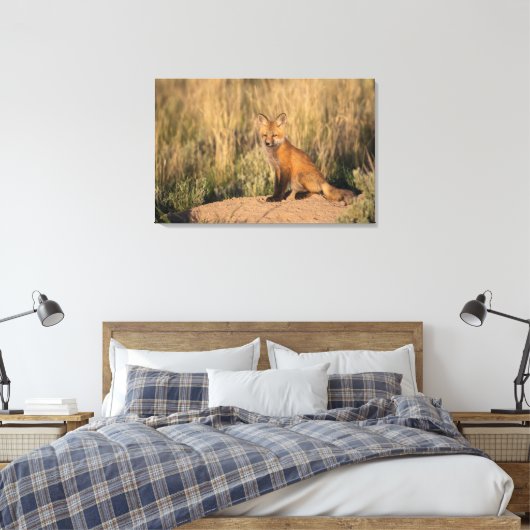 Young Red Fox bij Golden Hour Canvas Afdruk (Insitu (Slaapkamer))