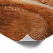 Young Red Fox Carolina Wren Bird Waterverf 11x14 Poster (Hoek)