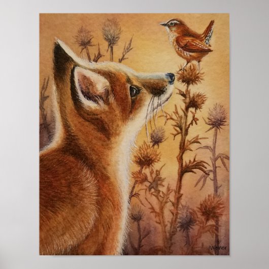 Young Red Fox Carolina Wren Bird Waterverf 11x14 Poster (Voorkant)
