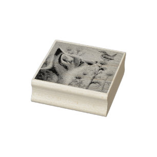 Young Red Fox & Carolina Wren Bird Waterverf Art Rubberstempel