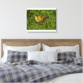 Young Red Fox komt uit struik Canvas Afdruk (Insitu (Slaapkamer))
