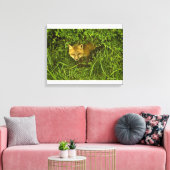 Young Red Fox komt uit struik Canvas Afdruk (Insitu (Woonkamer))