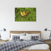 Young Red Fox komt uit struik Canvas Afdruk (Insitu (Slaapkamer))